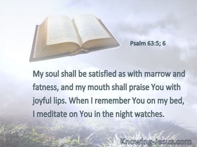 My soul shall be satisfied as with marrow and fatness, and my mouth shall praise You with joyful lips. When I remember You on my bed, I meditate on You in the night watches.
